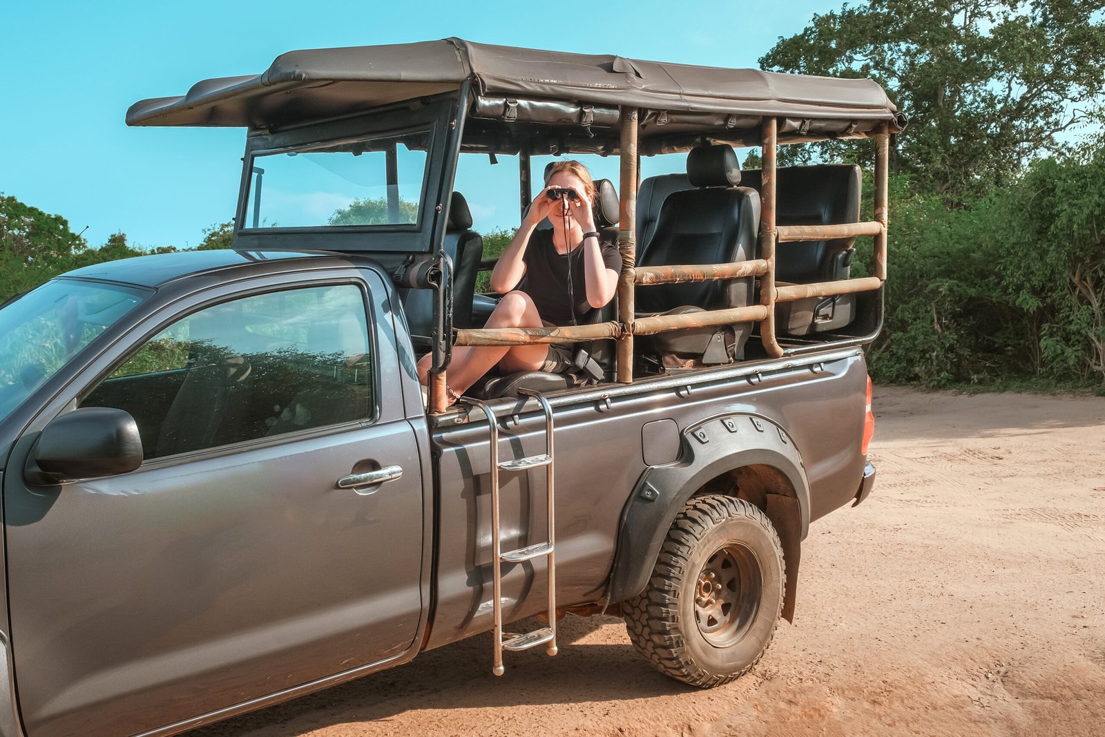 Safari trip.Wildlife safari.Eco travel in the jungle with wild animals elephants.Tropical tourism in the wild life of elephants.Road trip jungle,eco safari.Elephant wild life