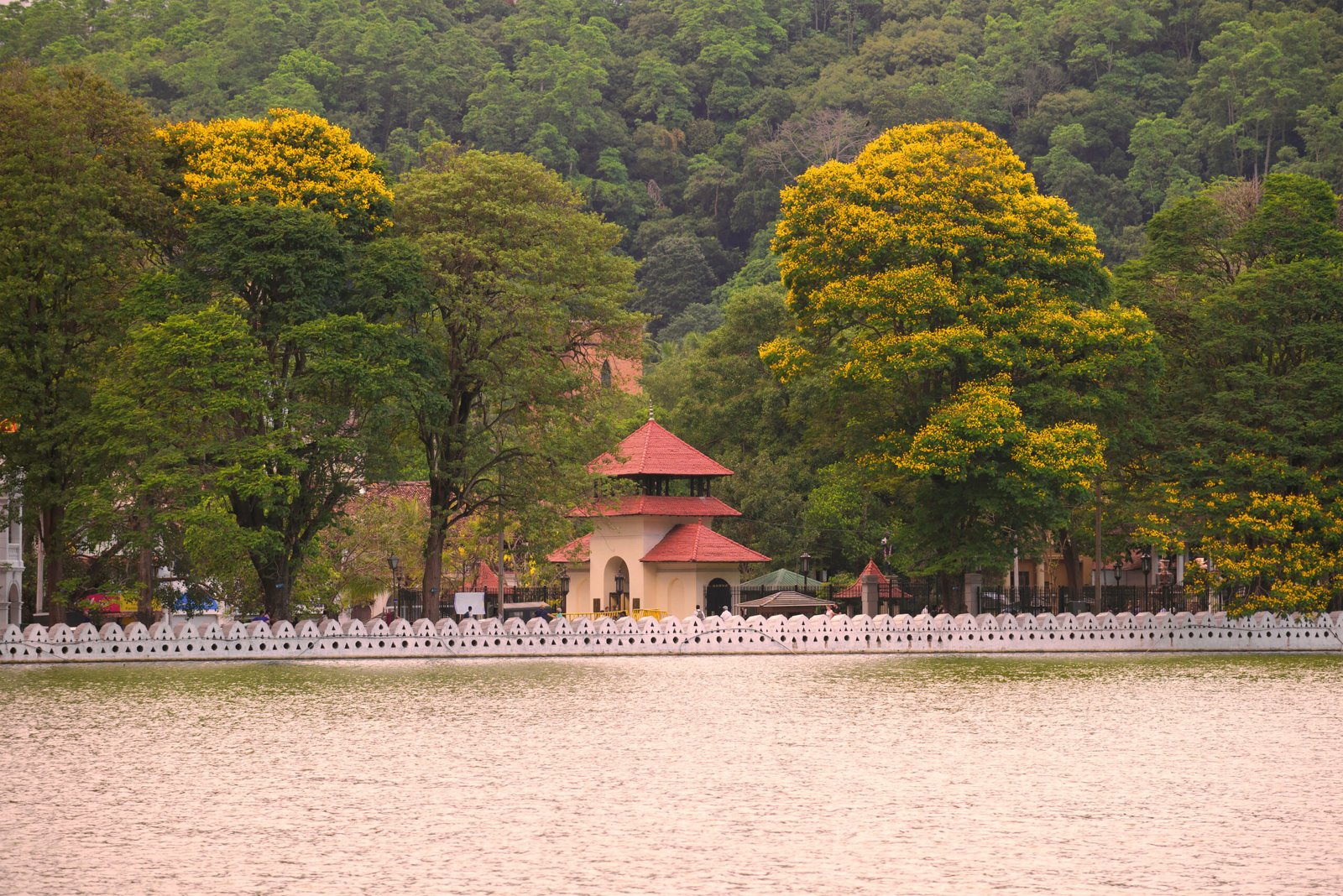 evening-on-the-city-lake-kandy-sri-lanka-2025-10-06-13-06-52-utc