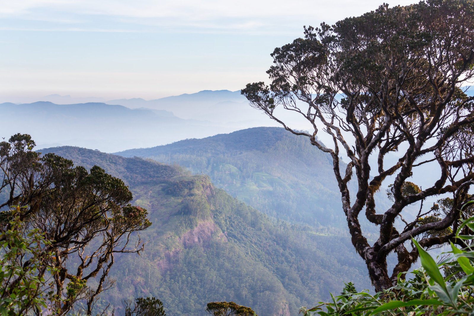 Beautiful green natural landscapes in Sri Lanka mountains